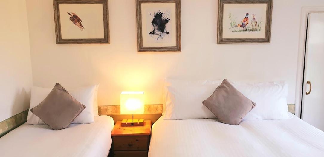 Bed & Breakfast The Osprey